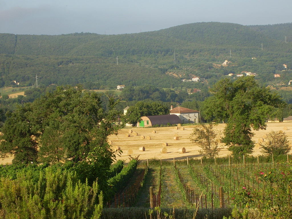 Agriturismo Regno Verde Narni Zewnętrze zdjęcie