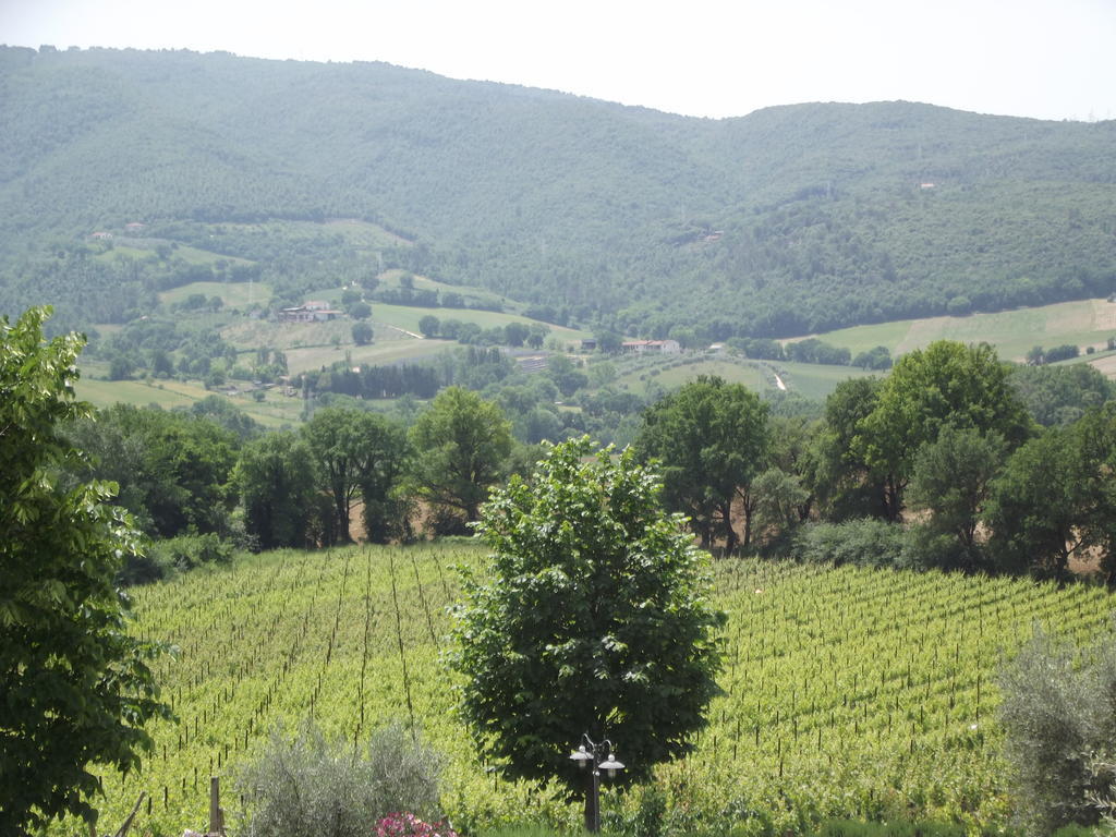 Agriturismo Regno Verde Narni Zewnętrze zdjęcie